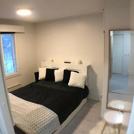 Free Downhill Skiing Ticket 1pcs Cozy And Very Peaceful Place In Levi Apartment