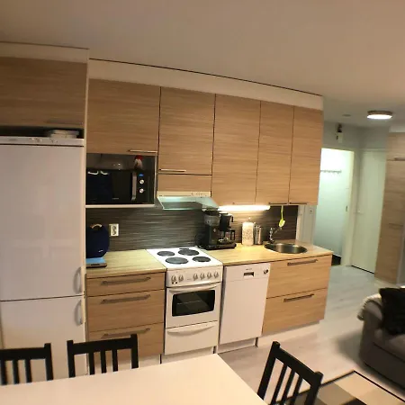 Free Downhill Skiing Ticket 1pcs Cozy And Very Peaceful Place In Levi Apartment *