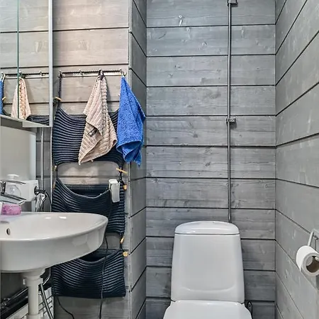 Apartment Free Downhill Skiing Ticket 1pcs Cozy And Very Peaceful Place In Levi