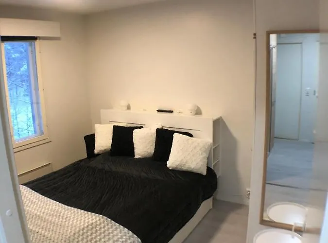 Free Downhill Skiing Ticket 1pcs Cozy And Very Peaceful Place In Levi 아파트