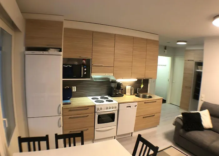 Free Downhill Skiing Ticket 1pcs Cozy And Very Peaceful Place In Levi 아파트 *